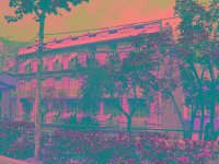 IMGP2837 edited (Medium)